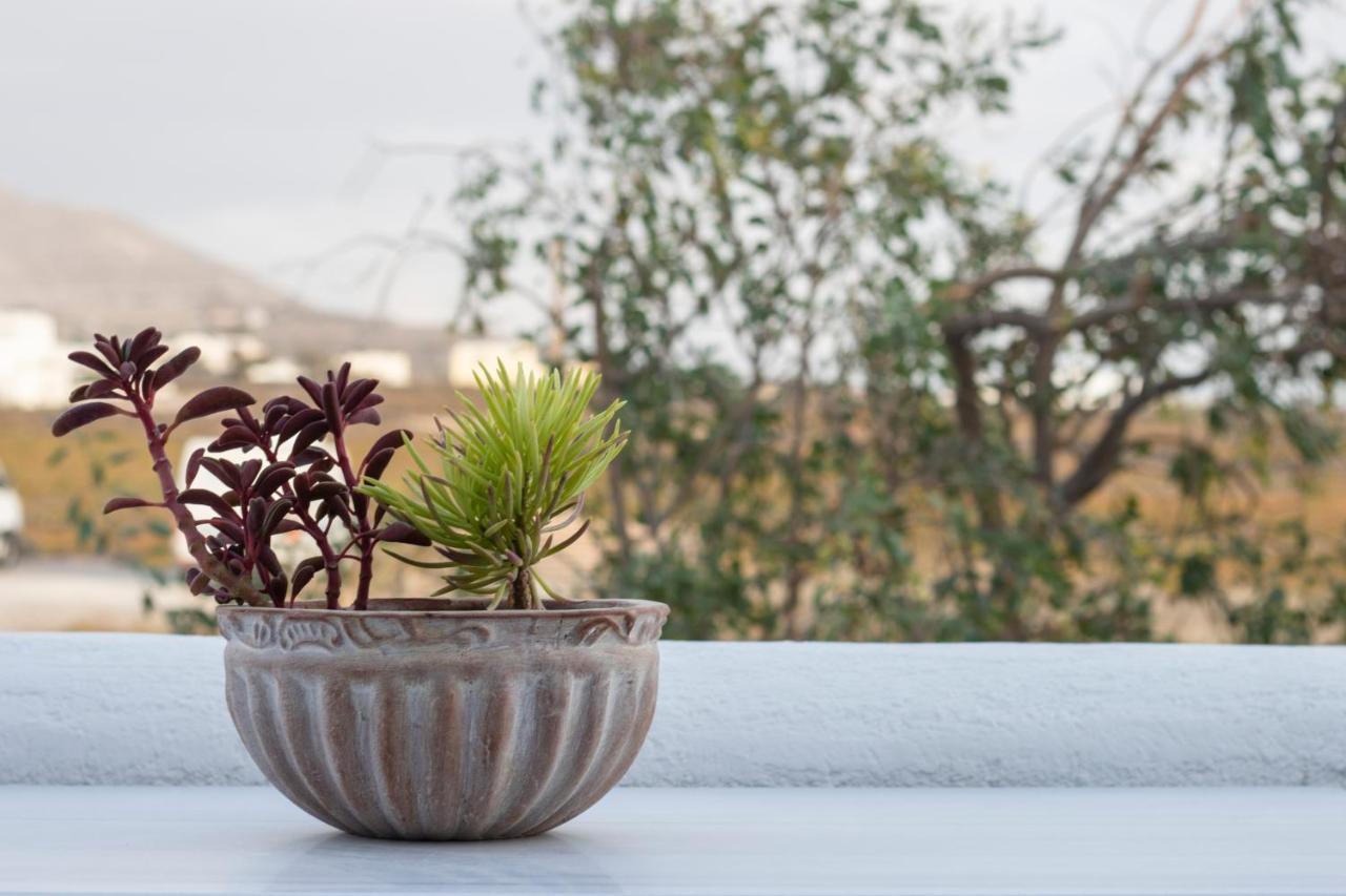 Arcana Santorini Villas, An Authentic Cycladic Experience Akrotírion Extérieur photo